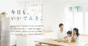 イデックスでんきの評判