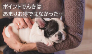 CDエナジーの「ポイントでんきプラン」