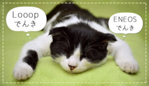 LooopでんきとENEOSでんきを比較