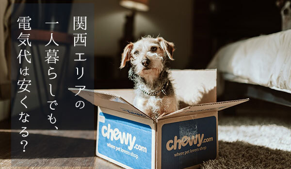 関西の一人暮らしでも電気代は安くなる おすすめの電力会社や注意点を解説 電力自由化 新電力の評判 比較まとめ